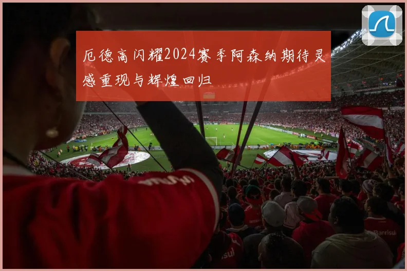 厄德高闪耀2024赛季阿森纳期待灵感重现与辉煌回归